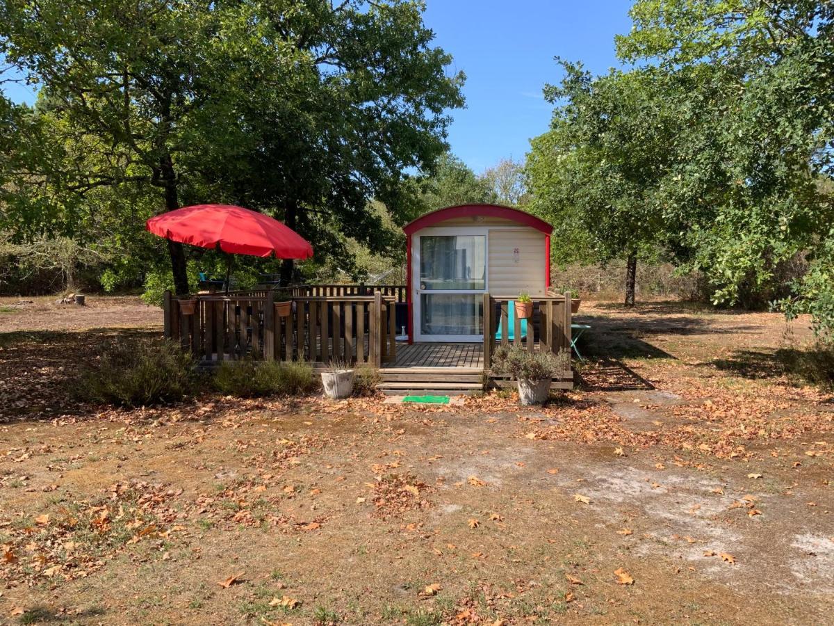 Domaine De Labelo Bed and Breakfast Commensacq Exteriör bild