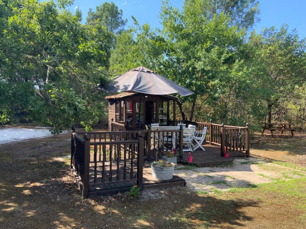 Domaine De Labelo Bed and Breakfast Commensacq Exteriör bild